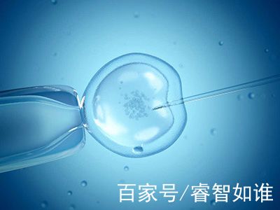 温馨医疗环境